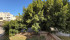 IMG-20251011-WA0011.jpg