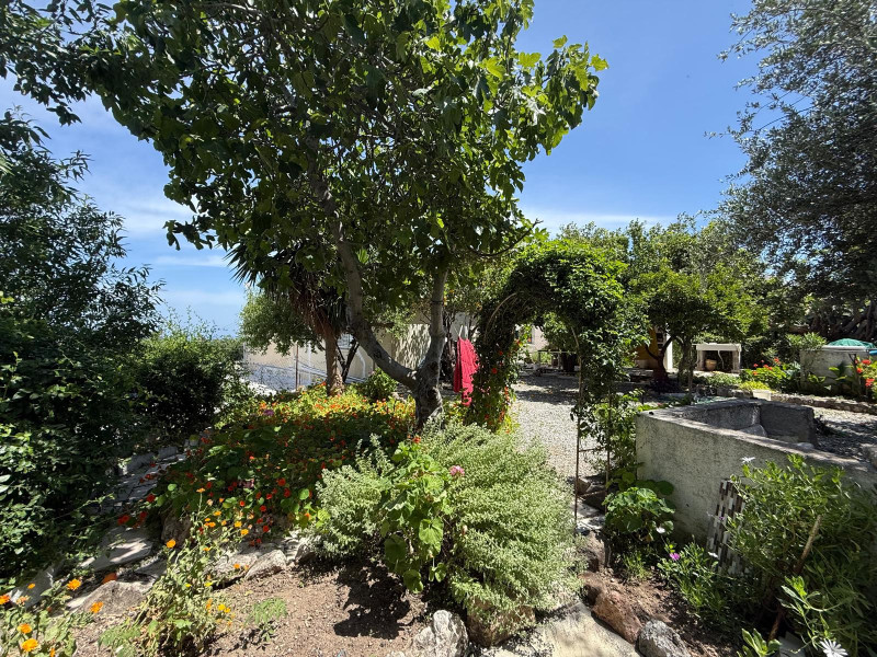 3 Odalı Geleneksel Kıbrıs Evi