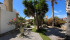 garden (2).jpeg